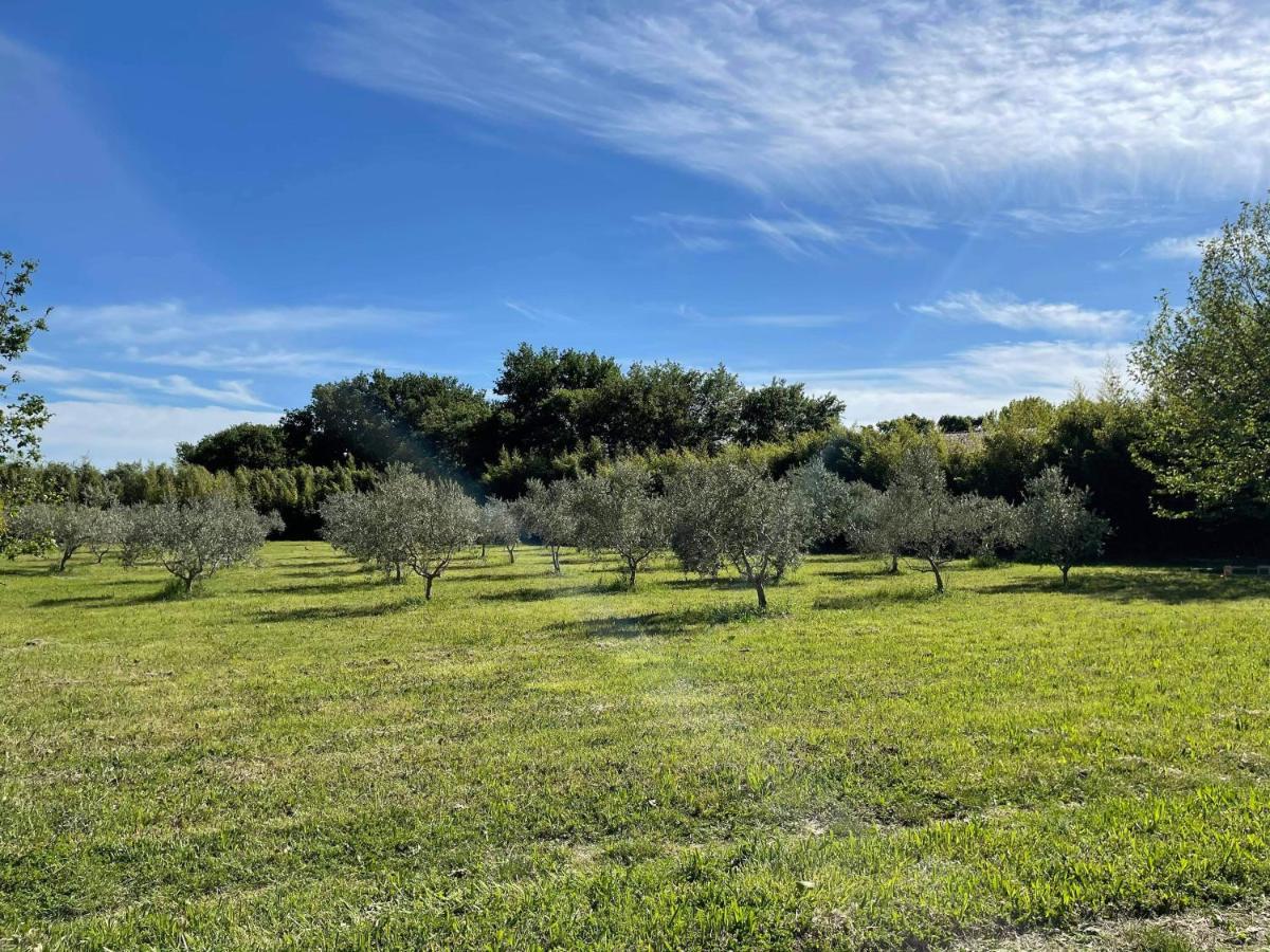 Appartement De Charme Sud Luberon Classe 4 Etoiles Puyvert エクステリア 写真